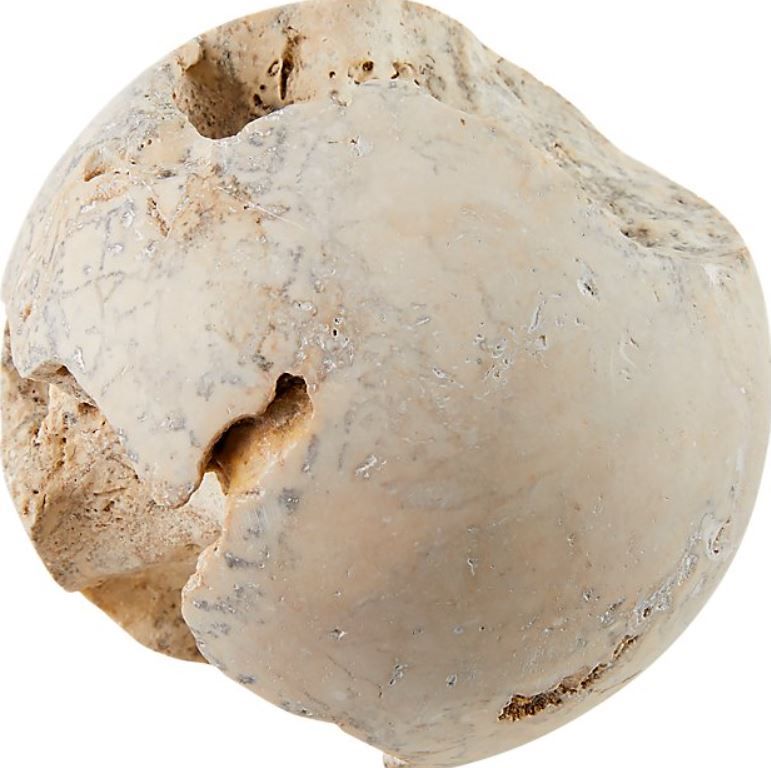 Limestone Sphere thumbnail 6