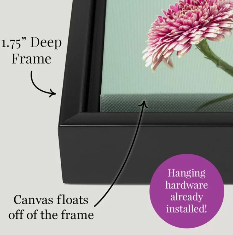 Dusk Botanical II Print on Canvas thumbnail 2