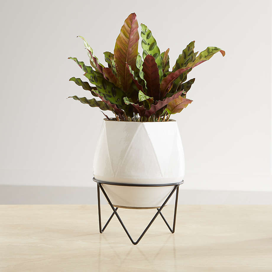 Aaro Medium Geo Planter with Stand thumbnail 2