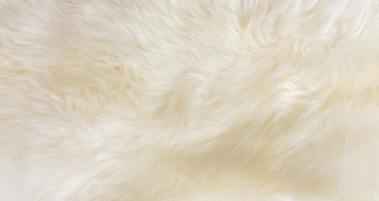 Lanna Ivory Sheepskin Throw-2'x6' thumbnail 4