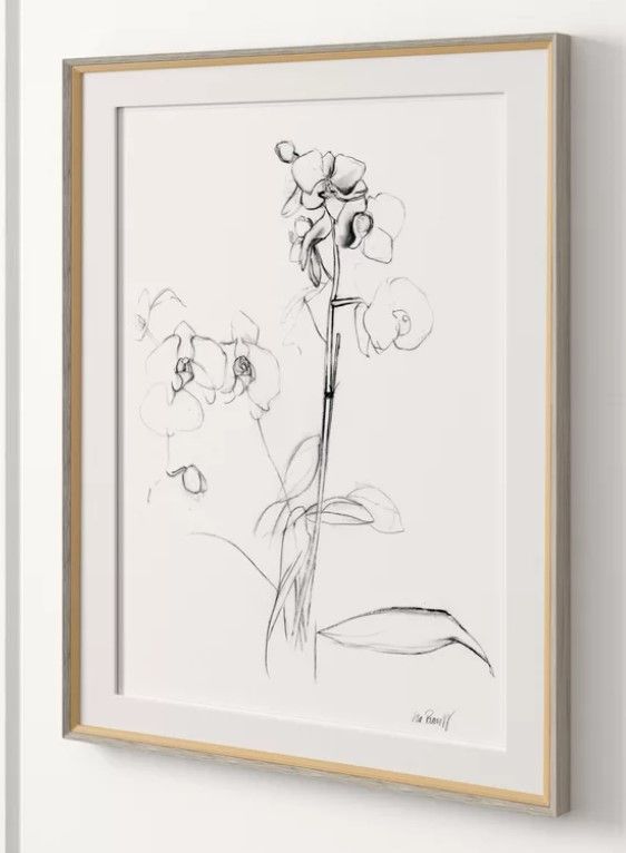 Orchid Studies Framed Drawing Print thumbnail 2