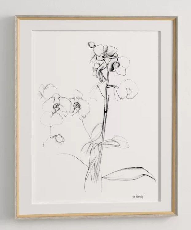 Orchid Studies Framed Drawing Print thumbnail 4