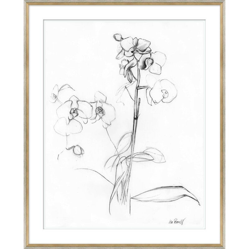 Orchid Studies Framed Drawing Print thumbnail 5