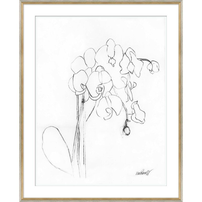 Orchid Studies by Lisa Pevaroff Picture Frame thumbnail 4