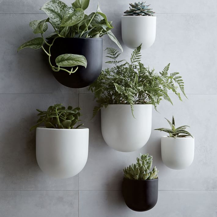 Ceramic Indoor Outdoor Wallscape Planters thumbnail 2