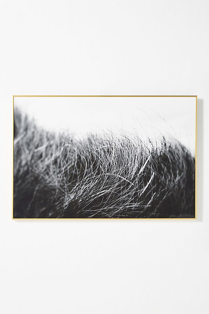 Beach Grass Wall Art thumbnail 2