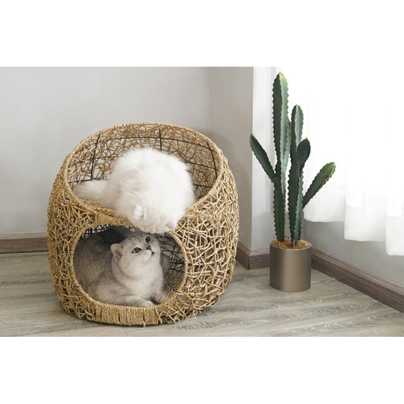 Goodwin Designer Specialty Cat Bed thumbnail 2