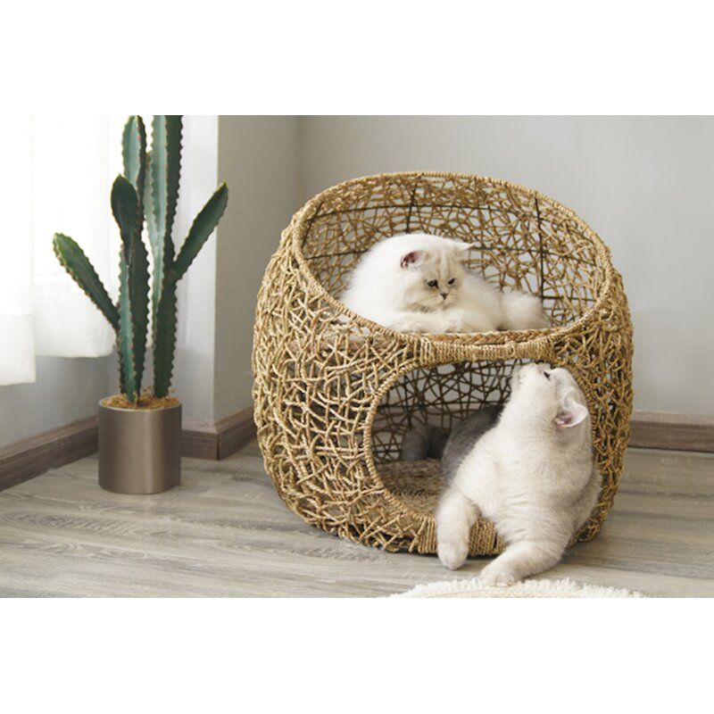 Goodwin Designer Specialty Cat Bed thumbnail 3