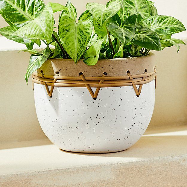 KIAN RATTAN PLANTER thumbnail 2