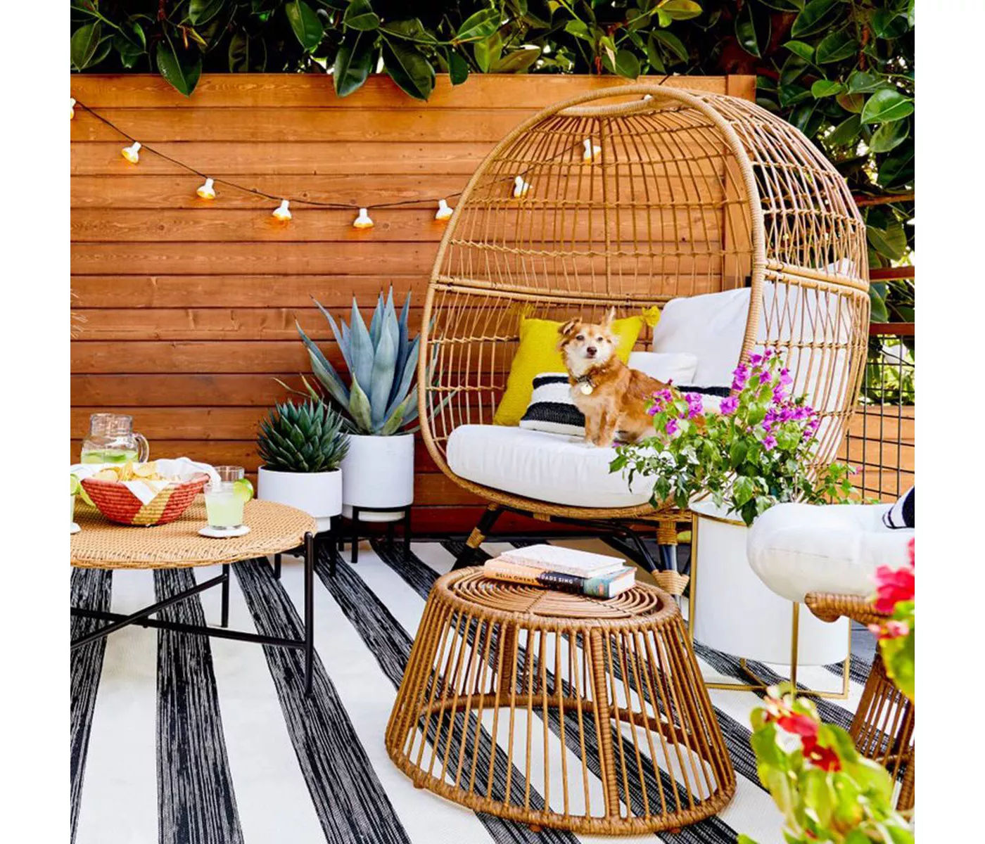 Southport Patio Egg Chair Opalhouse thumbnail 6