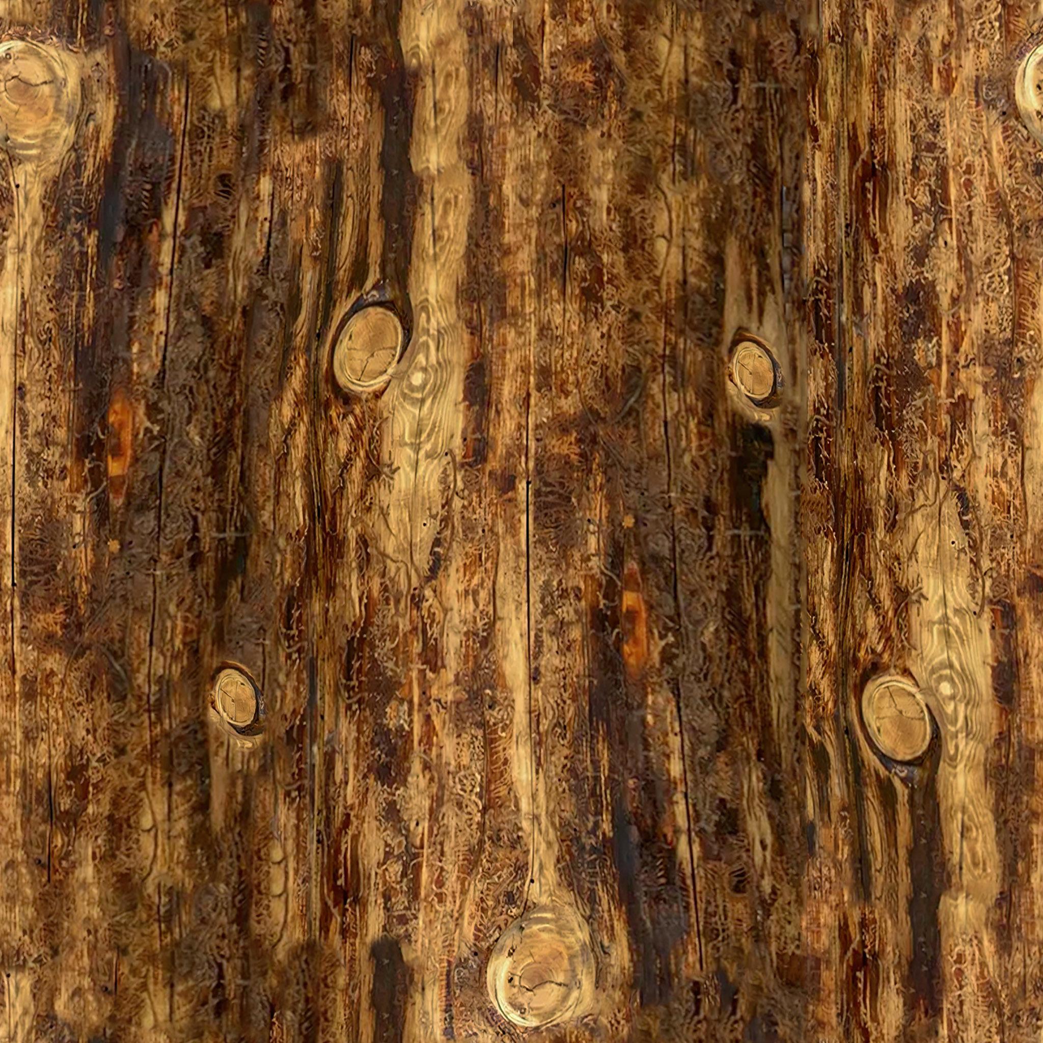 Tustin Solid Wood Tree Stump End Table thumbnail 3