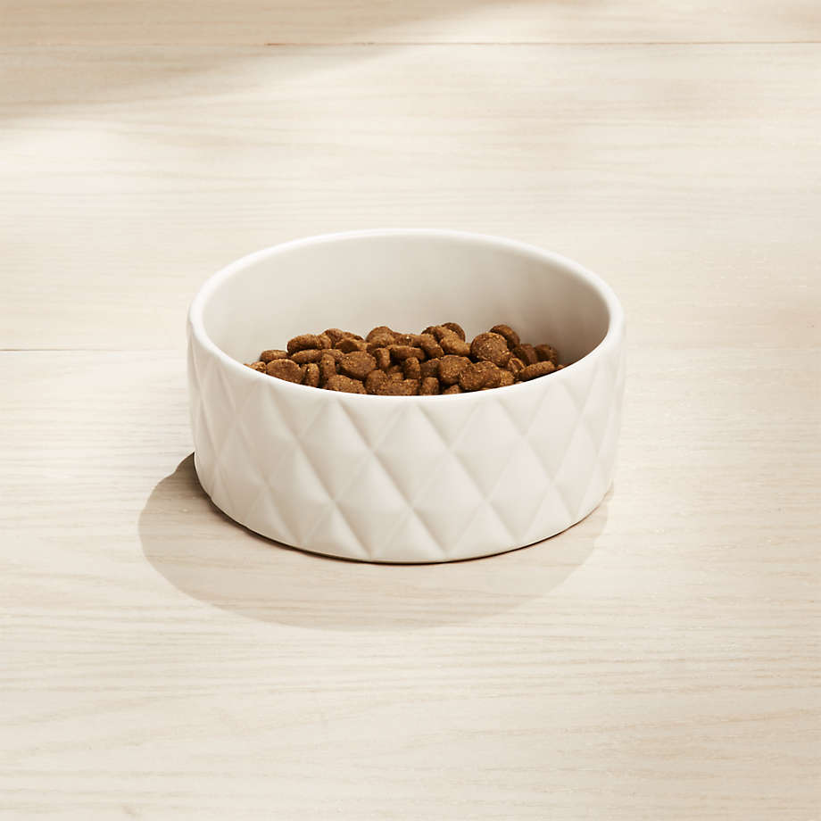 Harlequin Small Dog Bowl thumbnail 2