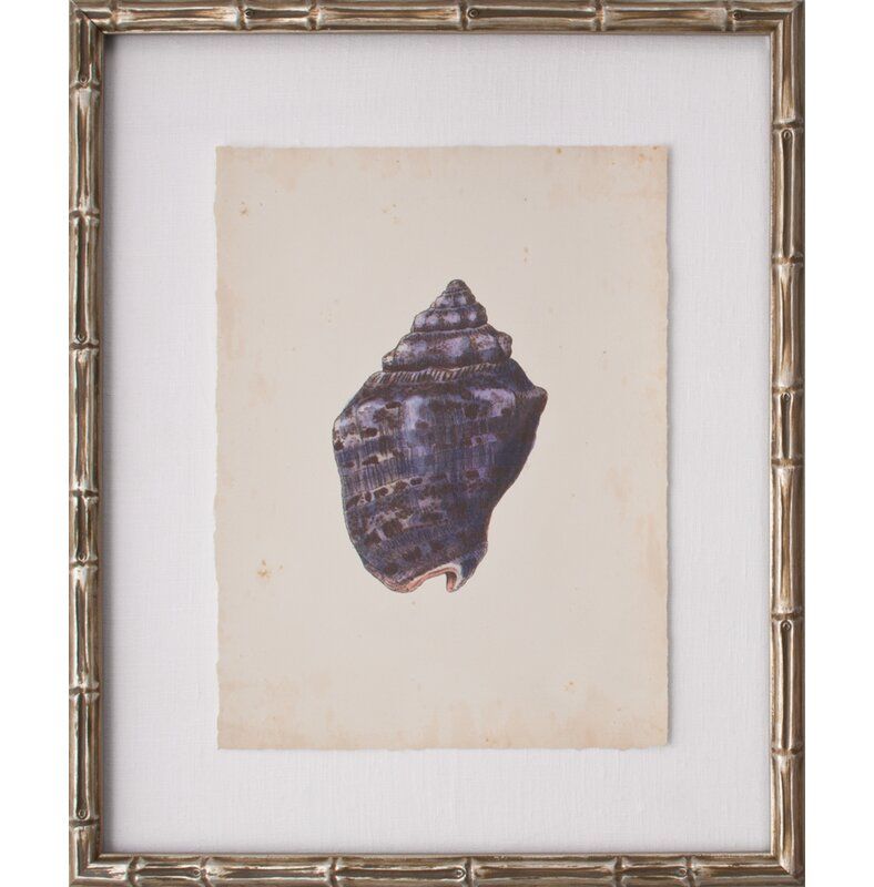 Mini SeaShells III Framed Graphic Art thumbnail 2
