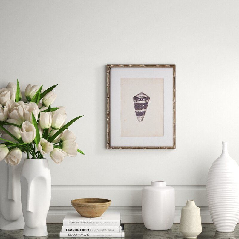 Mini Diderot Shell II Framed Graphic Art thumbnail 2