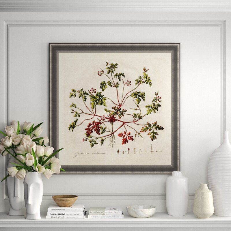 Finn and Ivy Geranium Robertianum Framed Photographic Print thumbnail 2