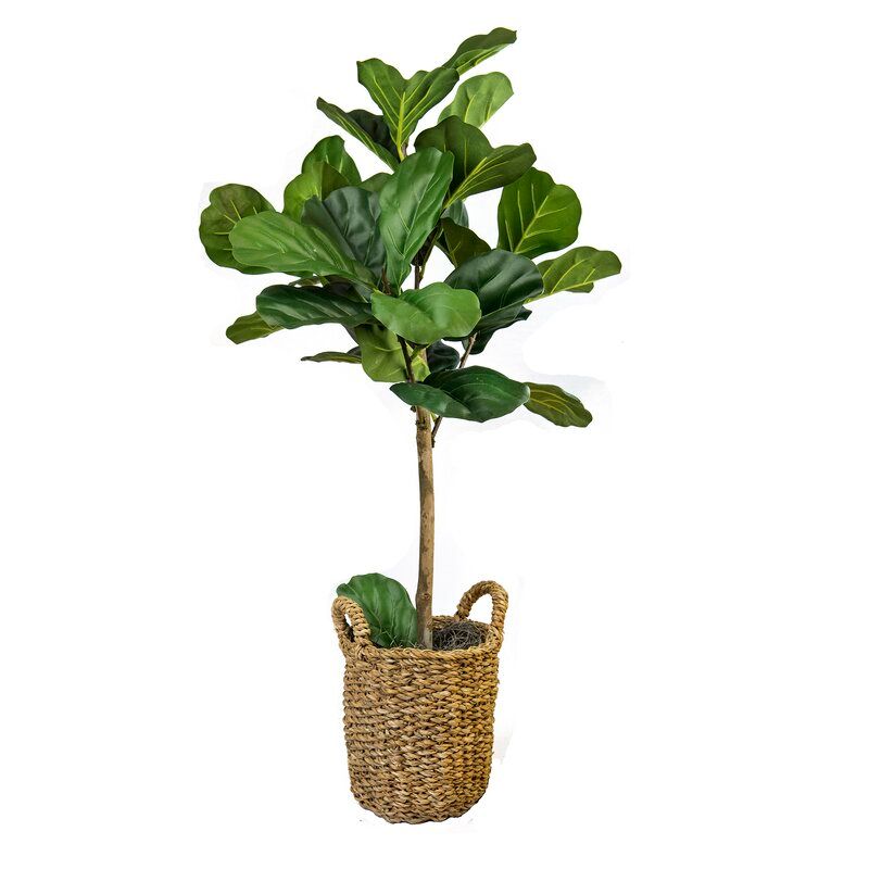 30 Artificial Fiddle Leaf Fig Tree in Basket thumbnail 3