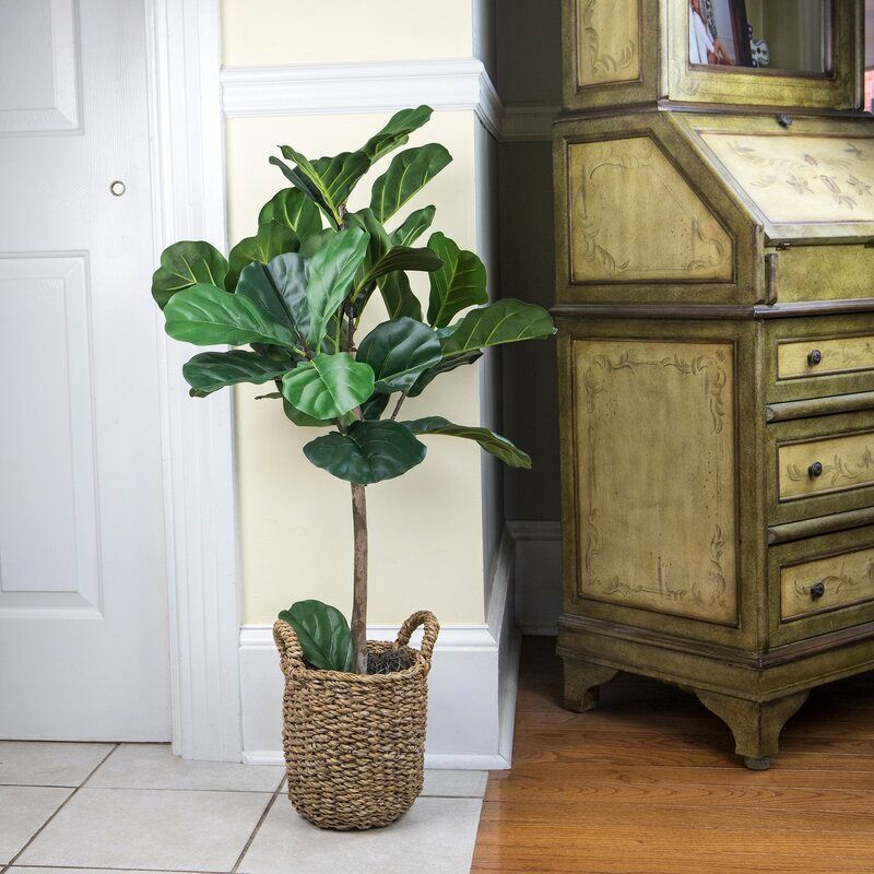 30 Artificial Fiddle Leaf Fig Tree in Basket thumbnail 4