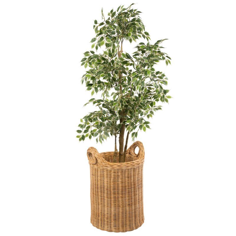 Double Wall Wicker Basket thumbnail 3