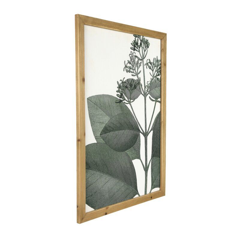 Botanical Graphic Art Print Set 4 of 4 thumbnail 2