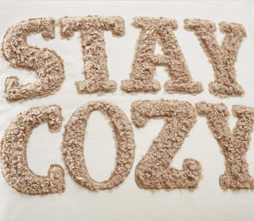 Stay Cozy Teddy Faux Fur Applique Pillow Cover thumbnail 2