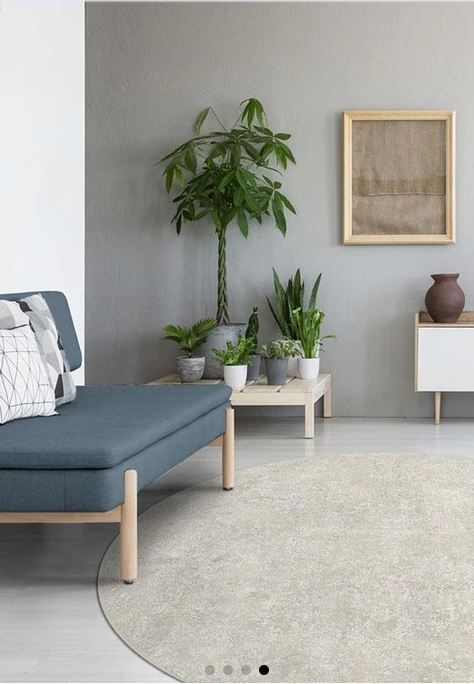 Serenata Ash Grey Rug-8'x8' thumbnail 2