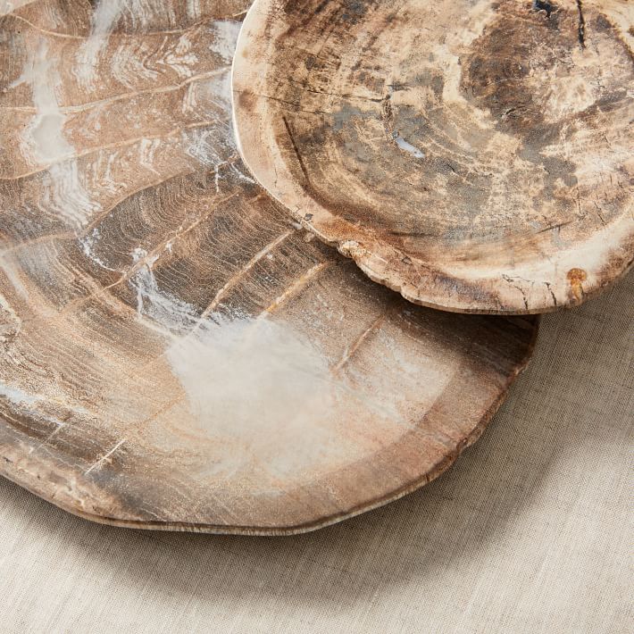 Petrified Wood Tray thumbnail 3