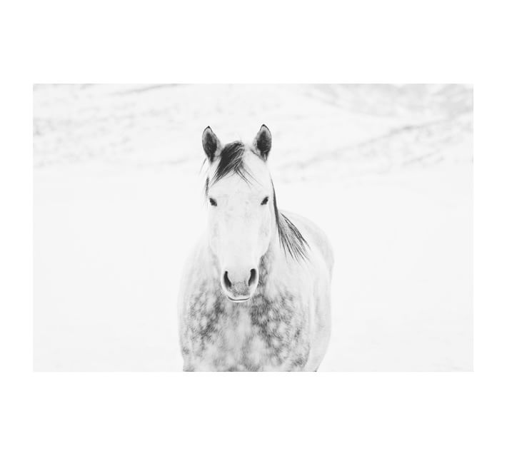 Winter White Horse Print by Jennifer Meyers thumbnail 2
