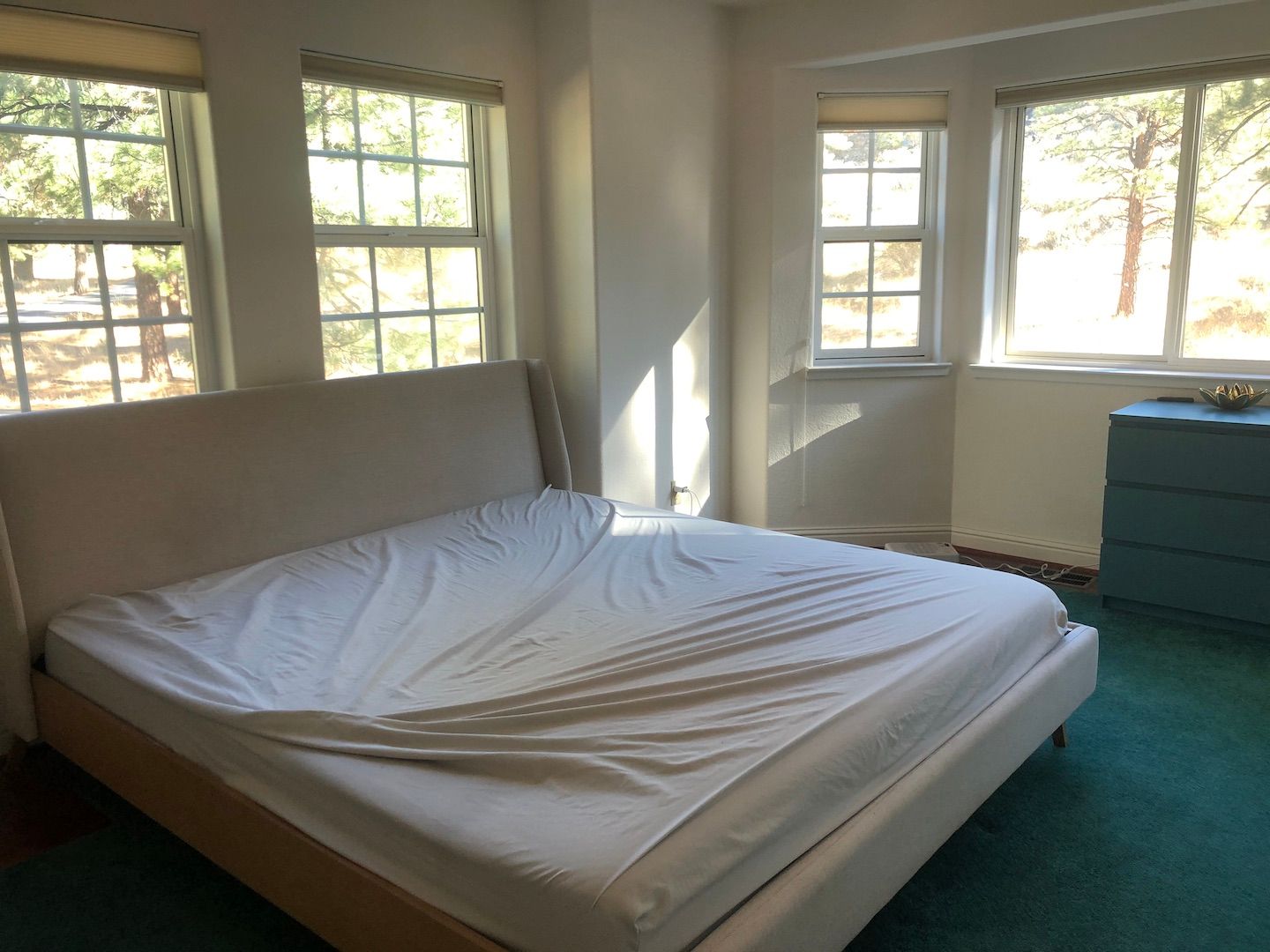 Customer Bed thumbnail 2
