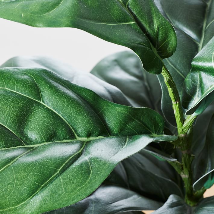 Faux Potted Fiddle Leaf thumbnail 2