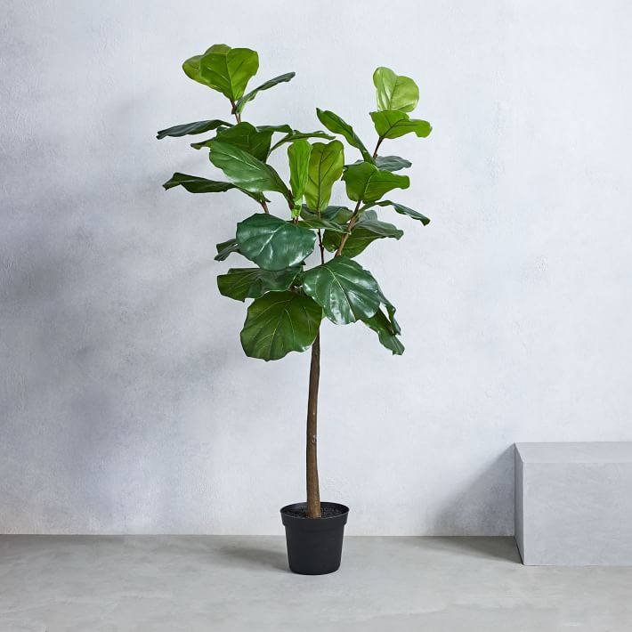 Faux Potted Fiddle Leaf thumbnail 5