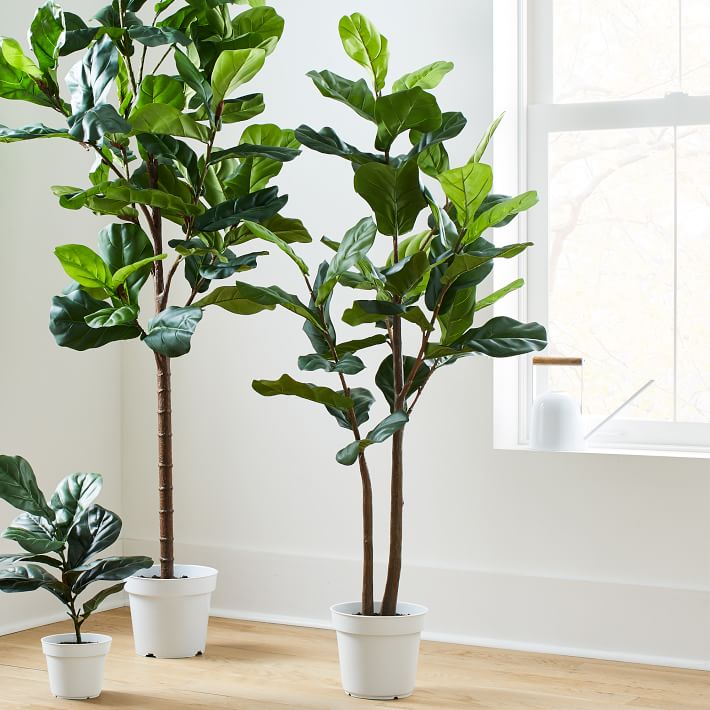 Faux Potted Fiddle Leaf thumbnail 6