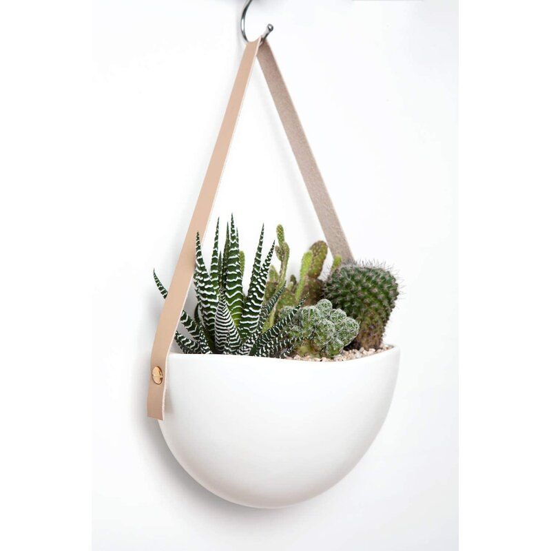 Kjetil 3 Piece Ceramic Hanging Planter Set thumbnail 2