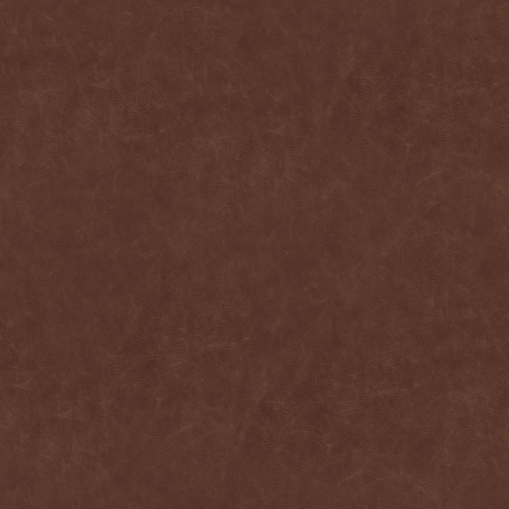 Indianola Modern Barrel Chair thumbnail 5