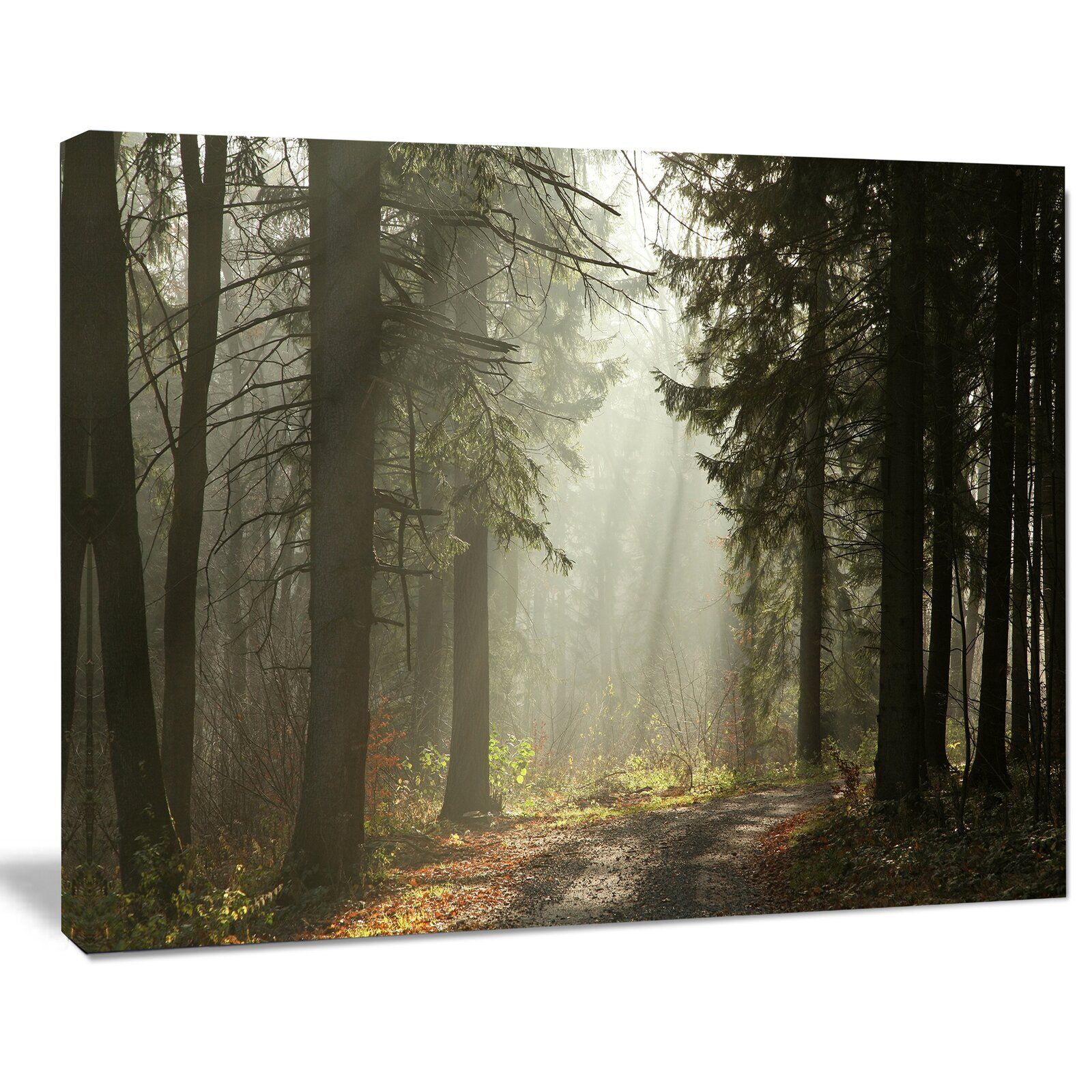 Dark Green Forest with Sun Rays Unframed thumbnail 2