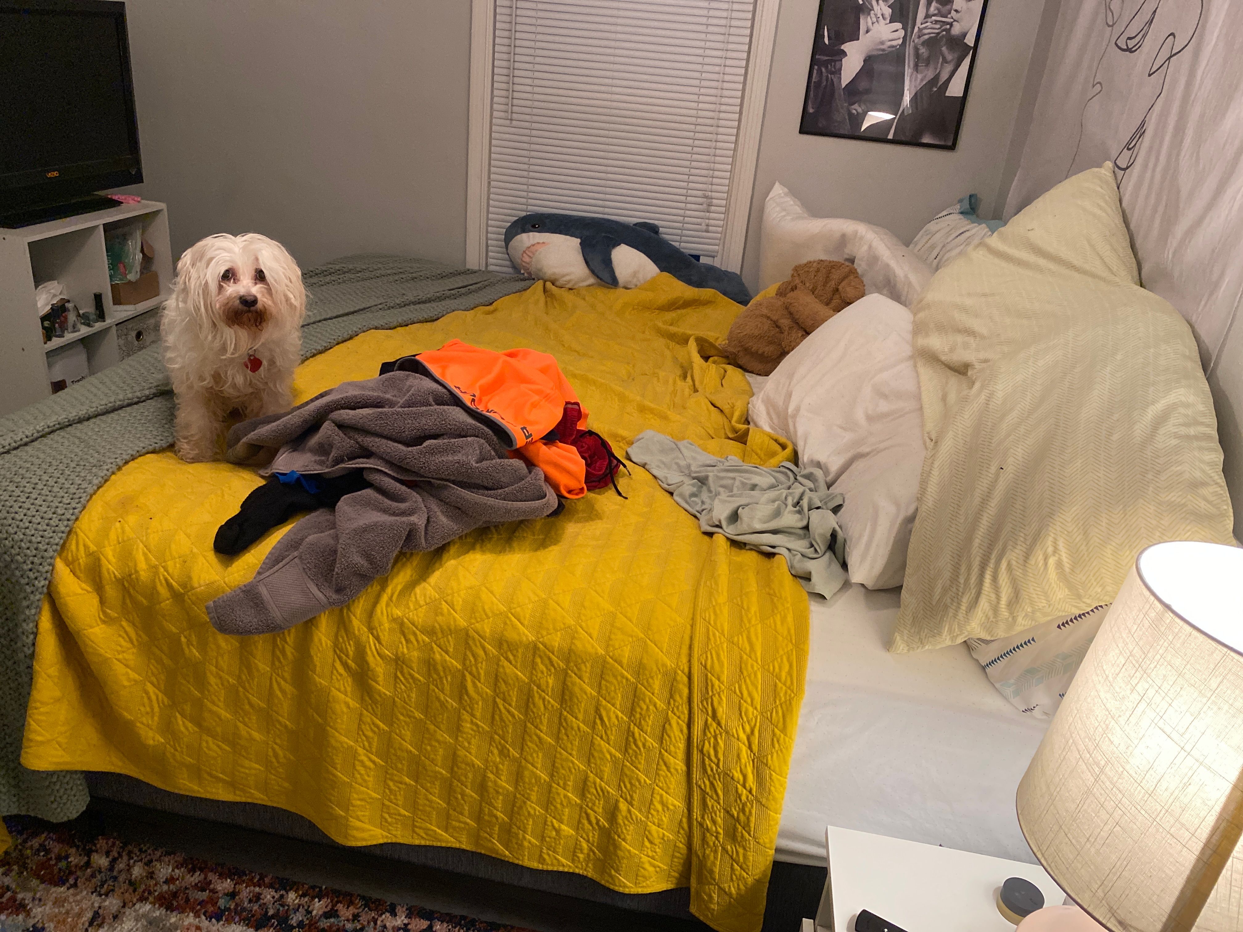 Customer king sized bed thumbnail 2