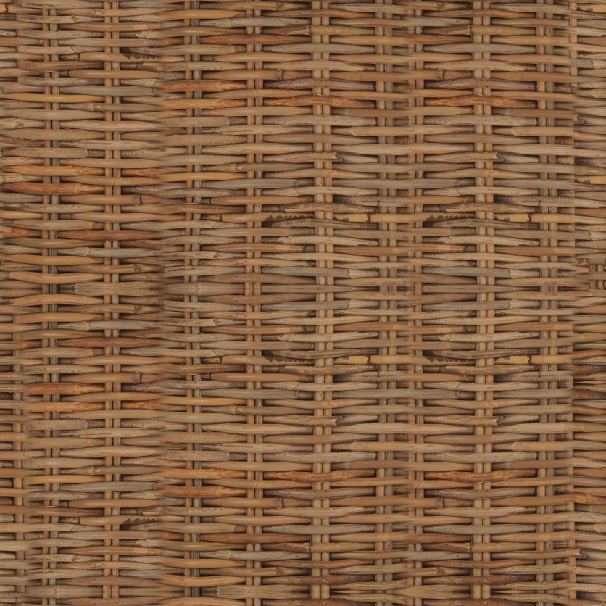 Trisha Barrel Chair thumbnail 4