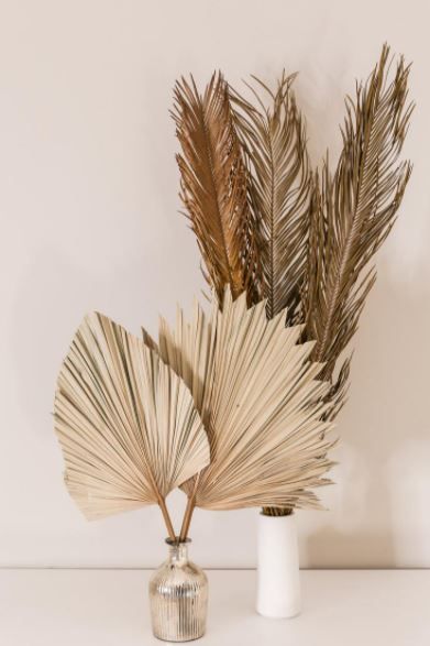 LARGE DRIED PALM LEAVES thumbnail 2