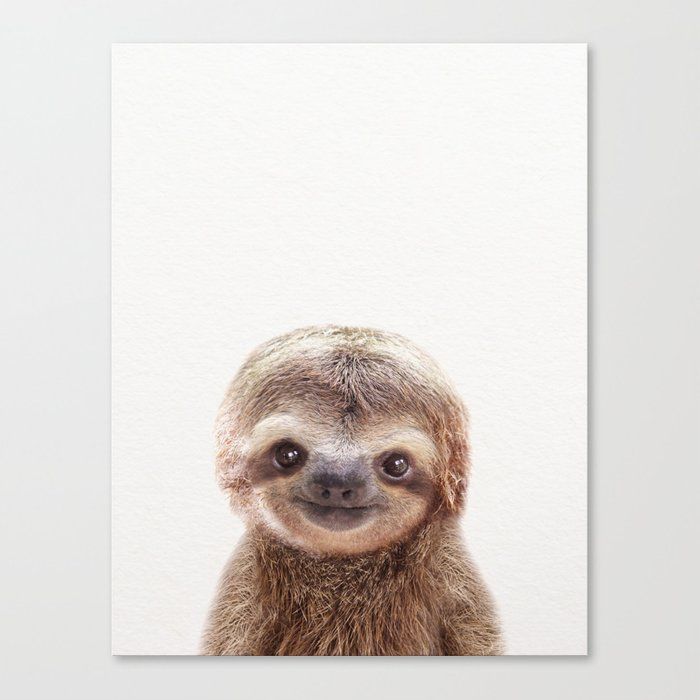 Baby Sloth Baby Animals Art Print Unframed thumbnail 2