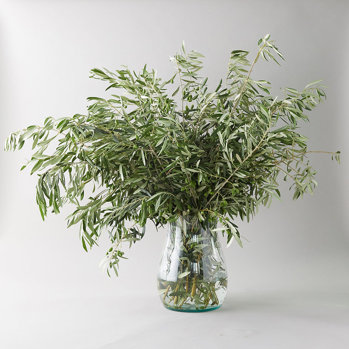 Fresh Olive Branch Bunch thumbnail 3