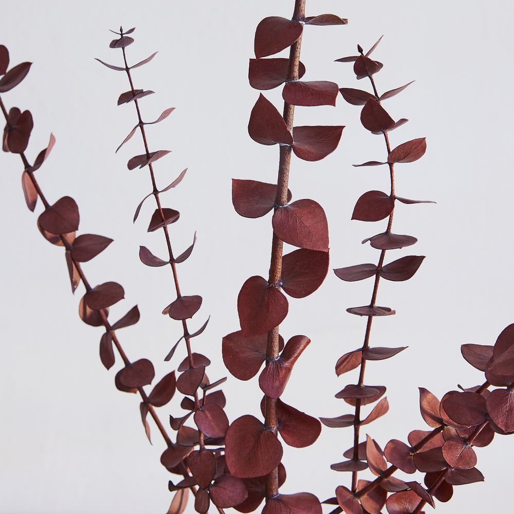 Dried Eucalyptus Bundle Red thumbnail 3