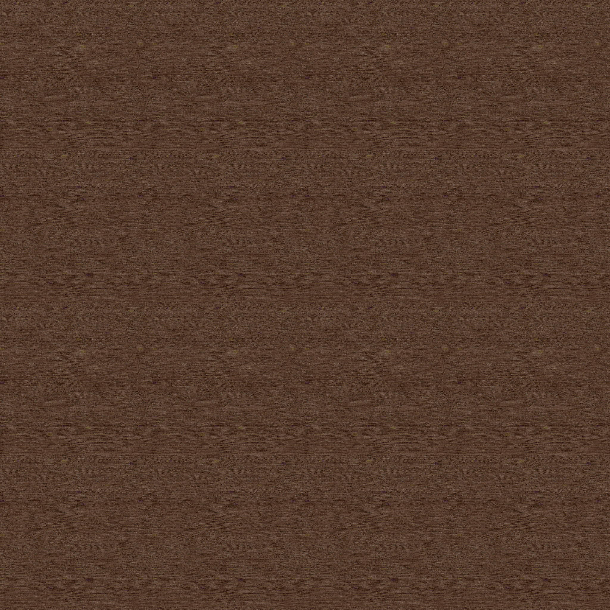 Auburn Chair thumbnail 5