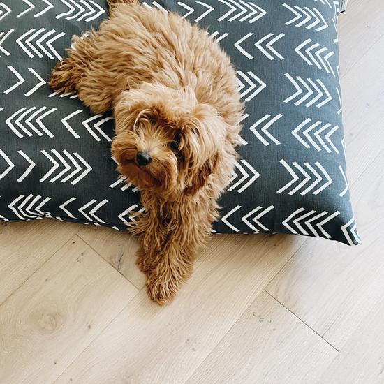 Customer Modern Mud Cloth Black Dog Bed thumbnail 4