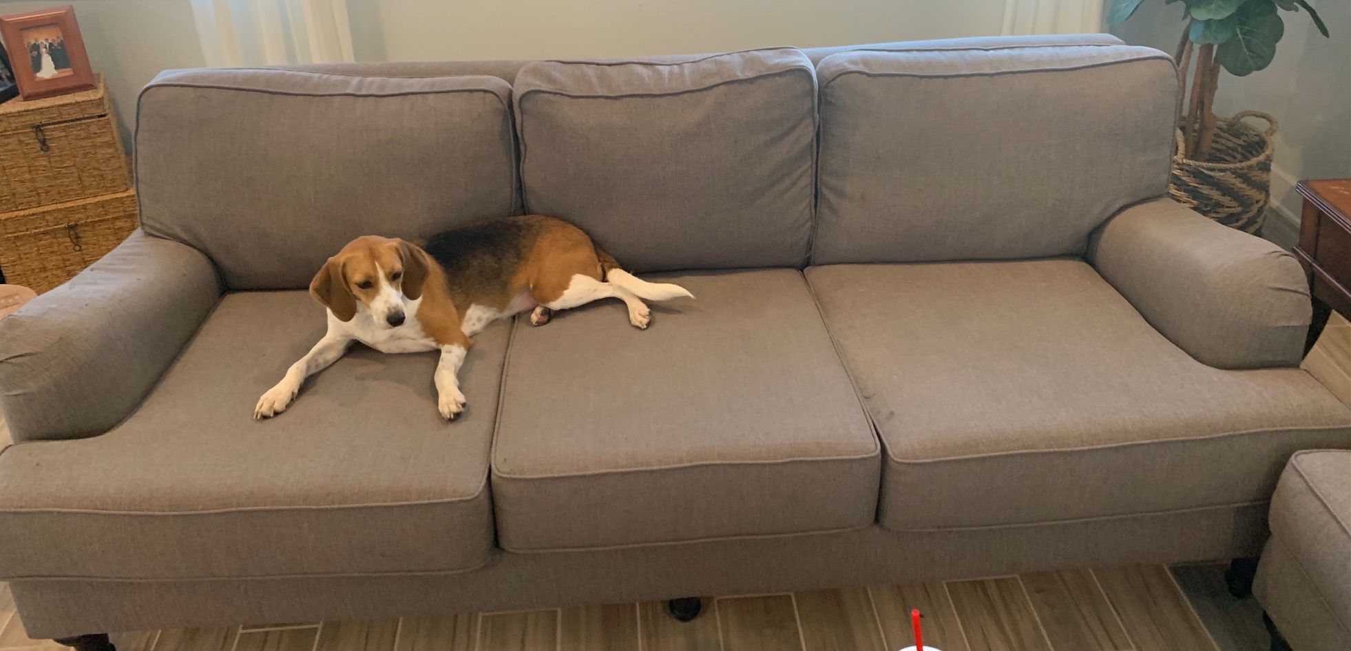Customer_Couch thumbnail 2