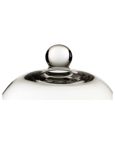Clear Glass Dome Cloche thumbnail 3