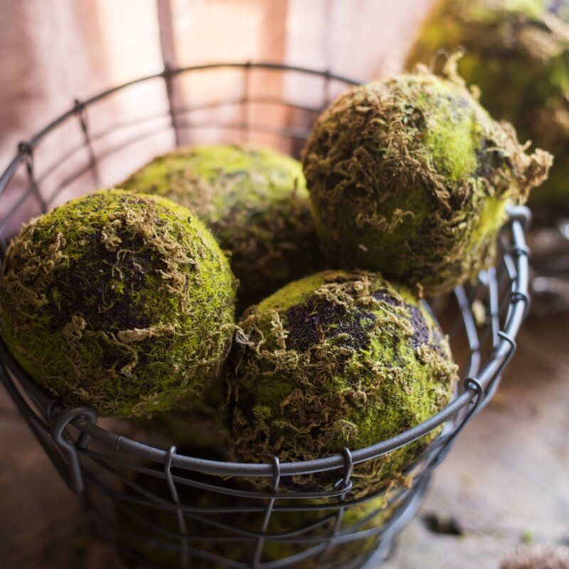Everton Decorative Moss Ball thumbnail 2