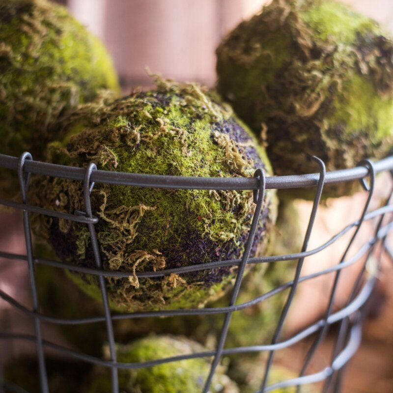 Everton Decorative Moss Ball thumbnail 3