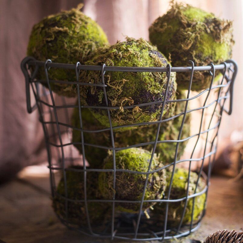 Everton Decorative Moss Ball thumbnail 4