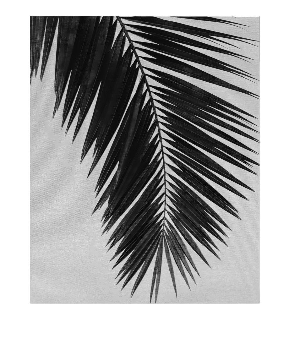 Palm Leaf Black and White Unframed thumbnail 3