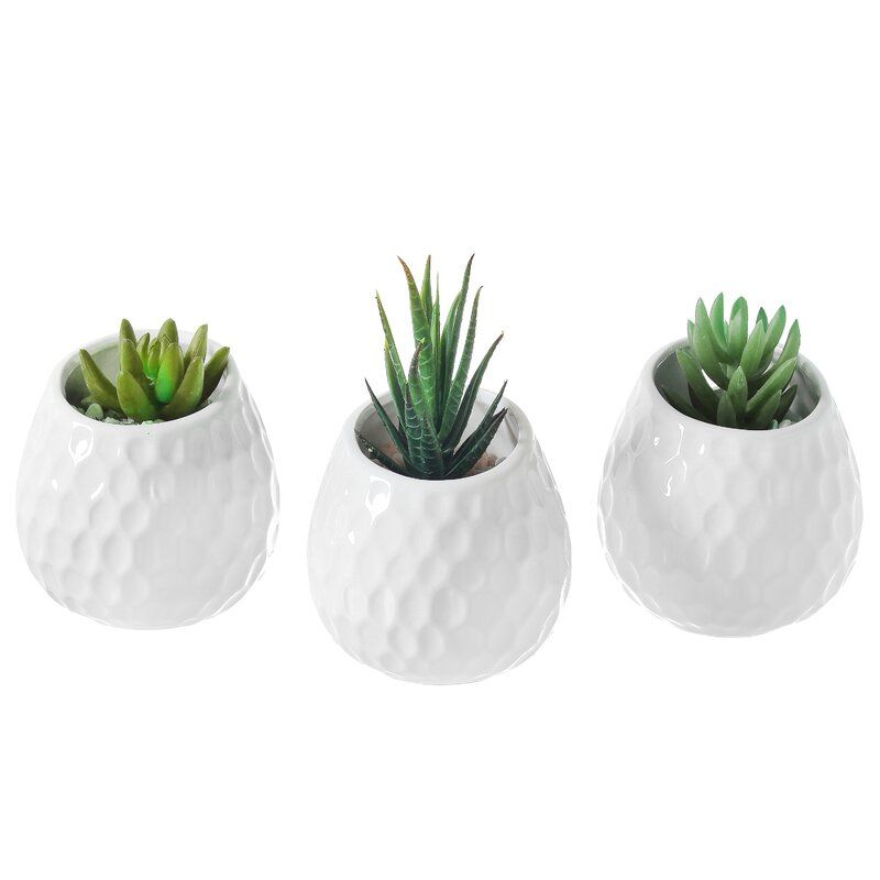 Maiorano Ceramic Wall Planter thumbnail 4