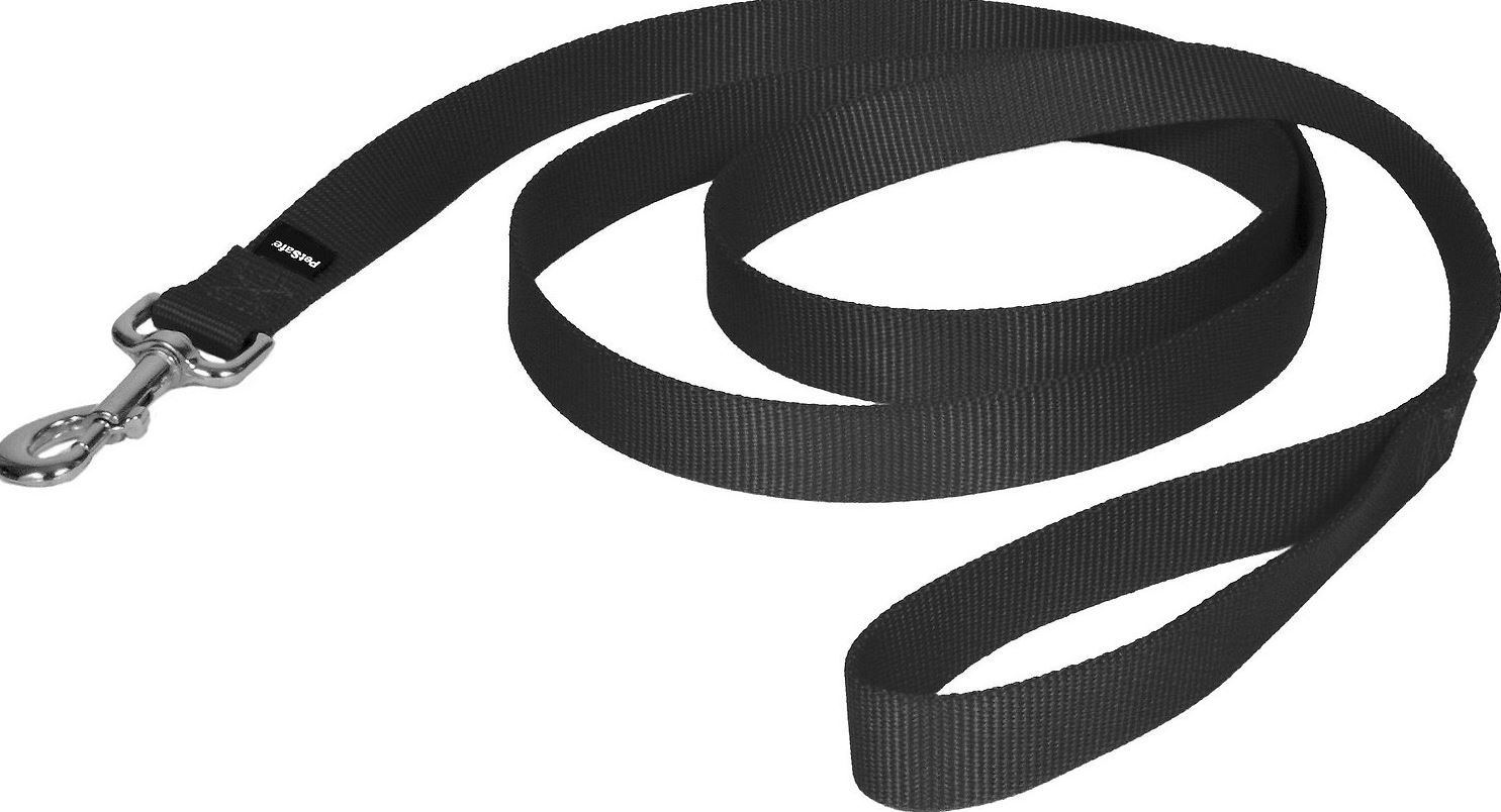 PetSafe Premier Nylon Dog Leash thumbnail 2